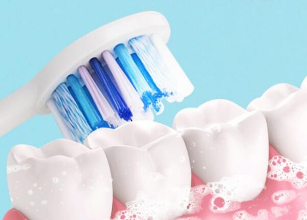 刷博士電動(dòng)牙刷頭